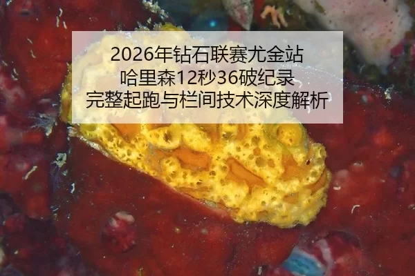 nian-zuan-shi-lian-sai-you-jin-zhan-ha-li-sen-miao-po-ji-lu-wan-zheng-qi-pao-yu-lan-jian-ji-shu-shen-du-jie-xi-2-959.jpg